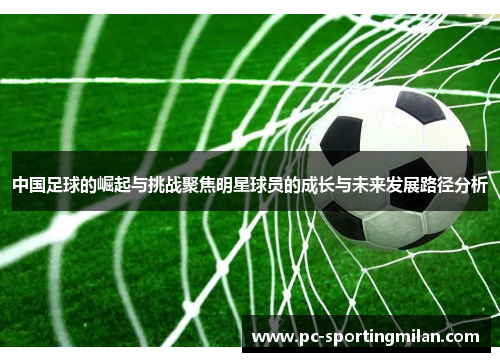 中国足球的崛起与挑战聚焦明星球员的成长与未来发展路径分析