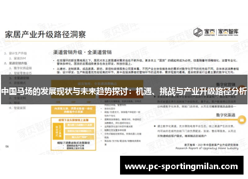 中国马场的发展现状与未来趋势探讨：机遇、挑战与产业升级路径分析